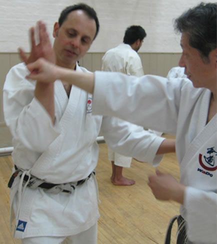 Karate experience
